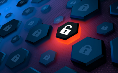 Common CVE Types – What they mean and how they can impact your business
